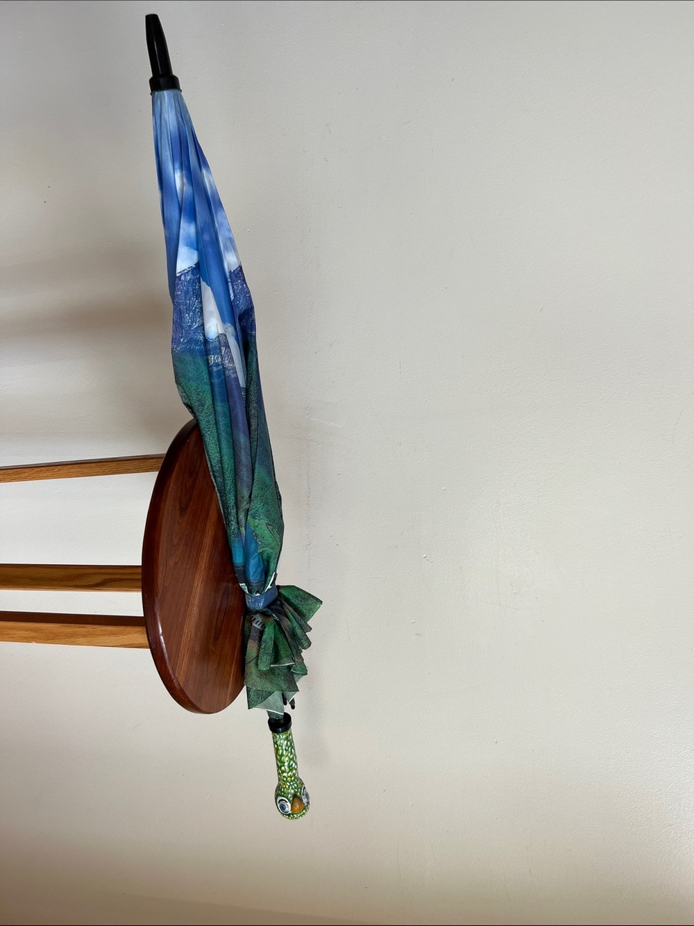 Mary Poppins parrot head umbrella Mountain Train Print Umbrella